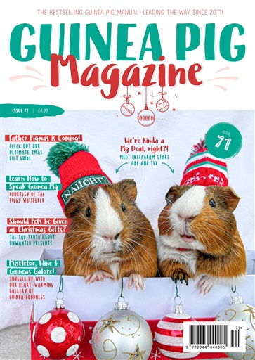 Guinea Pig Magazine issue 