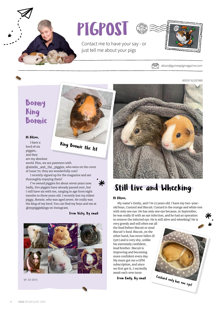 Guinea Pig Magazine Preview Pages