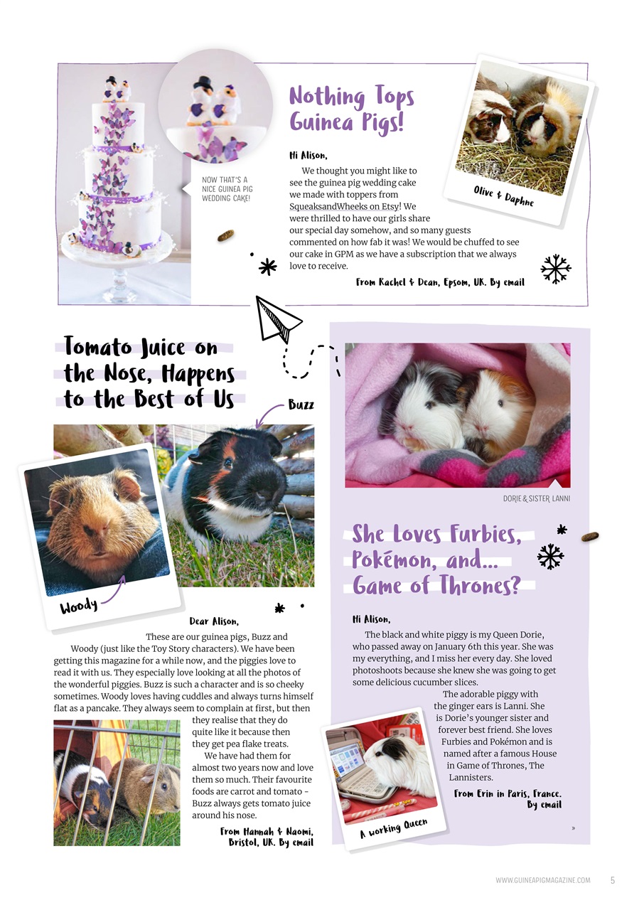 Guinea Pig Magazine Preview Pages