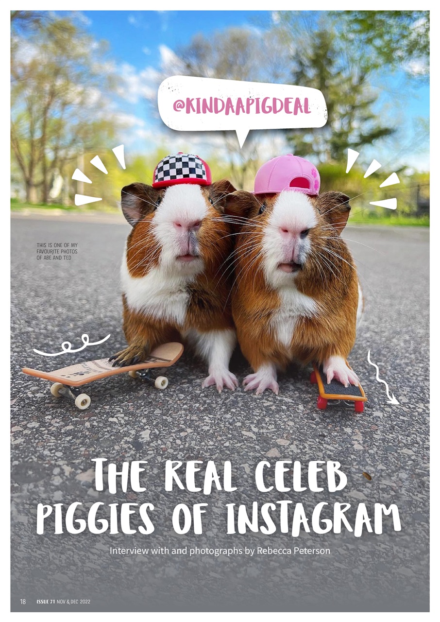 Guinea Pig Magazine Preview Pages