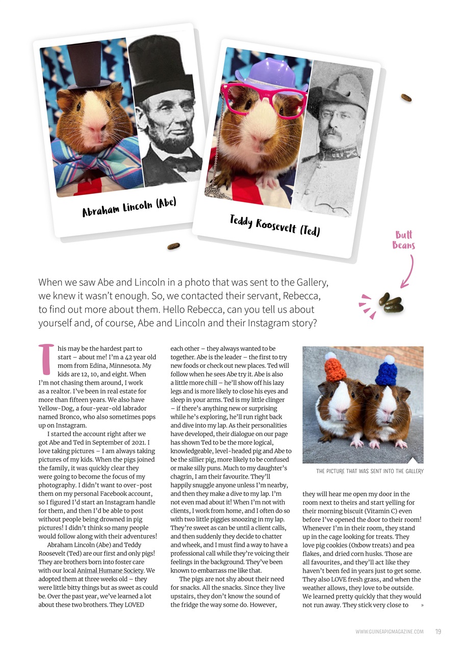 Guinea Pig Magazine Preview Pages