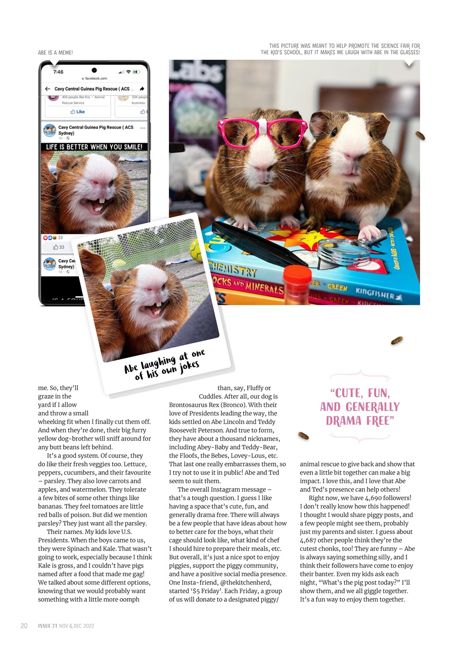 Guinea Pig Magazine Preview Pages
