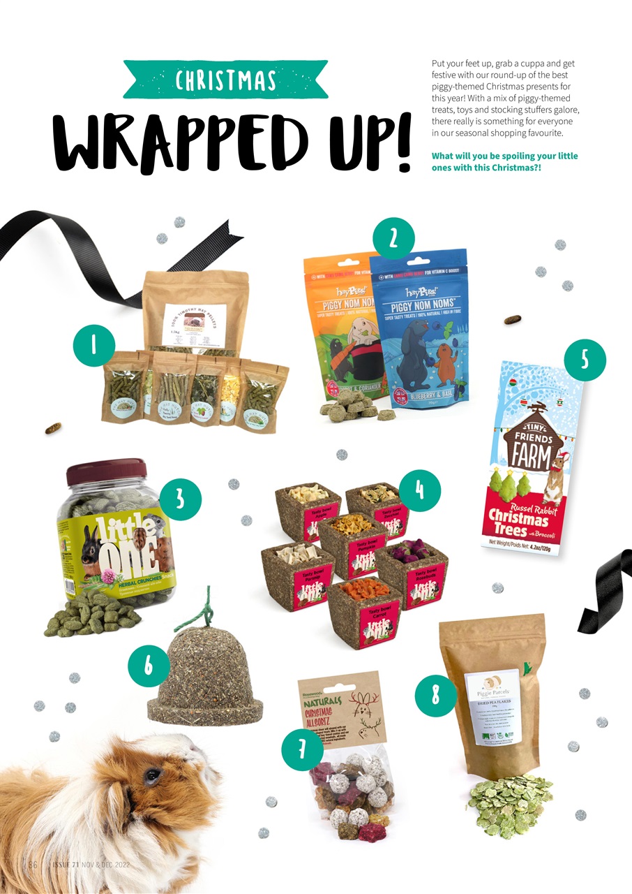 Guinea Pig Magazine Preview Pages