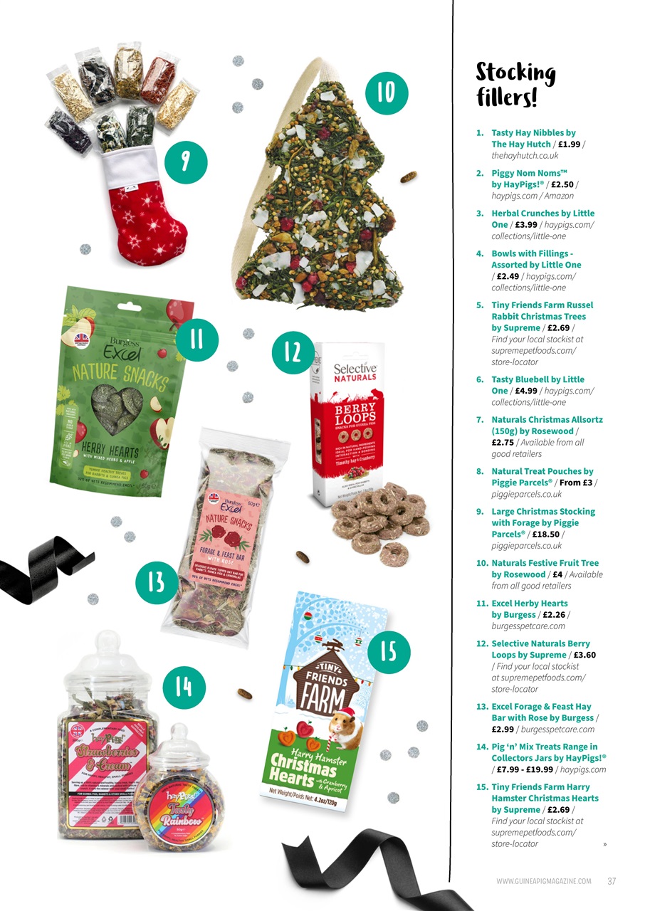 Guinea Pig Magazine Preview Pages