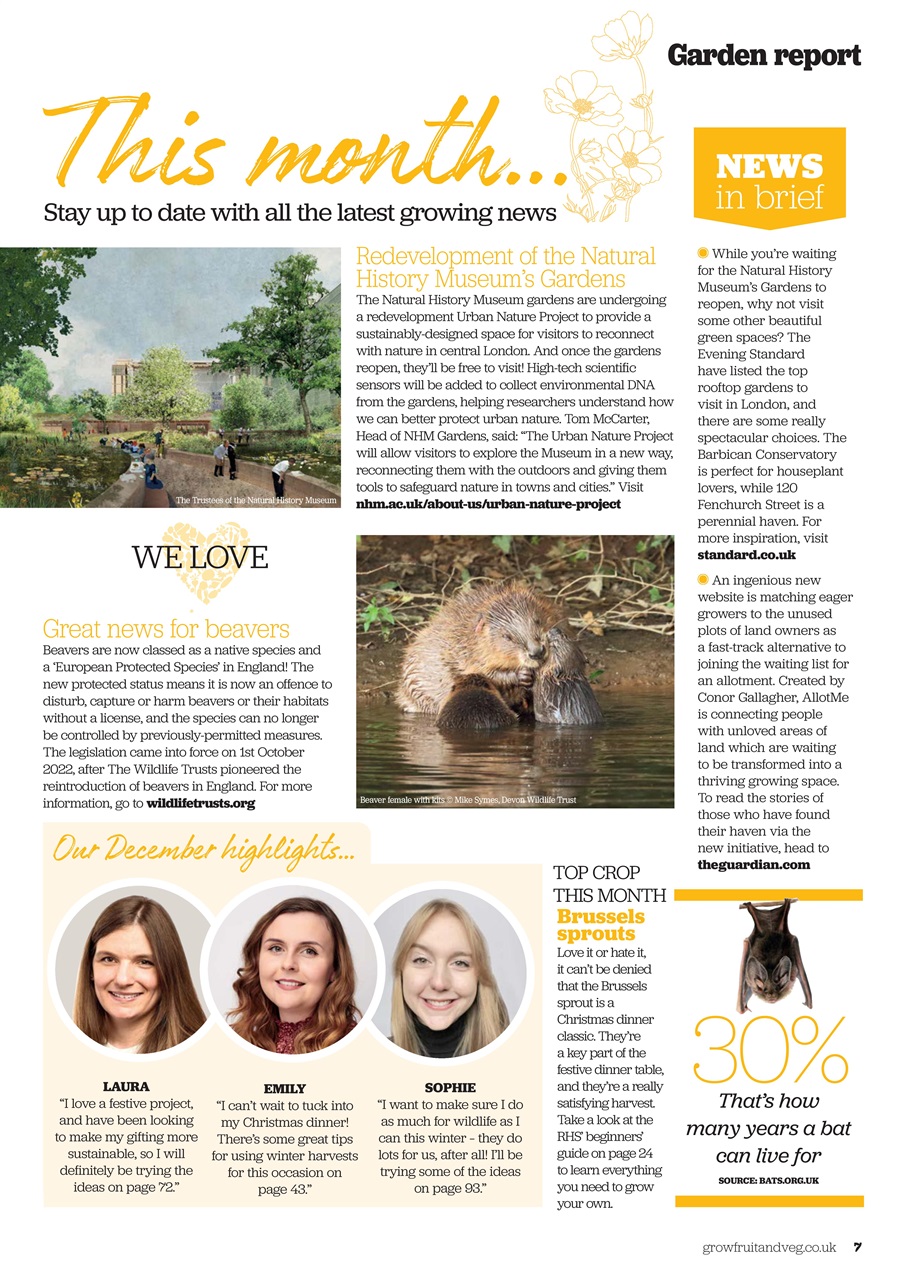 Grow Your Own Preview Pages