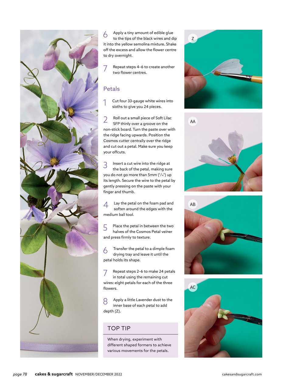 Cakes & Sugarcraft Preview Pages
