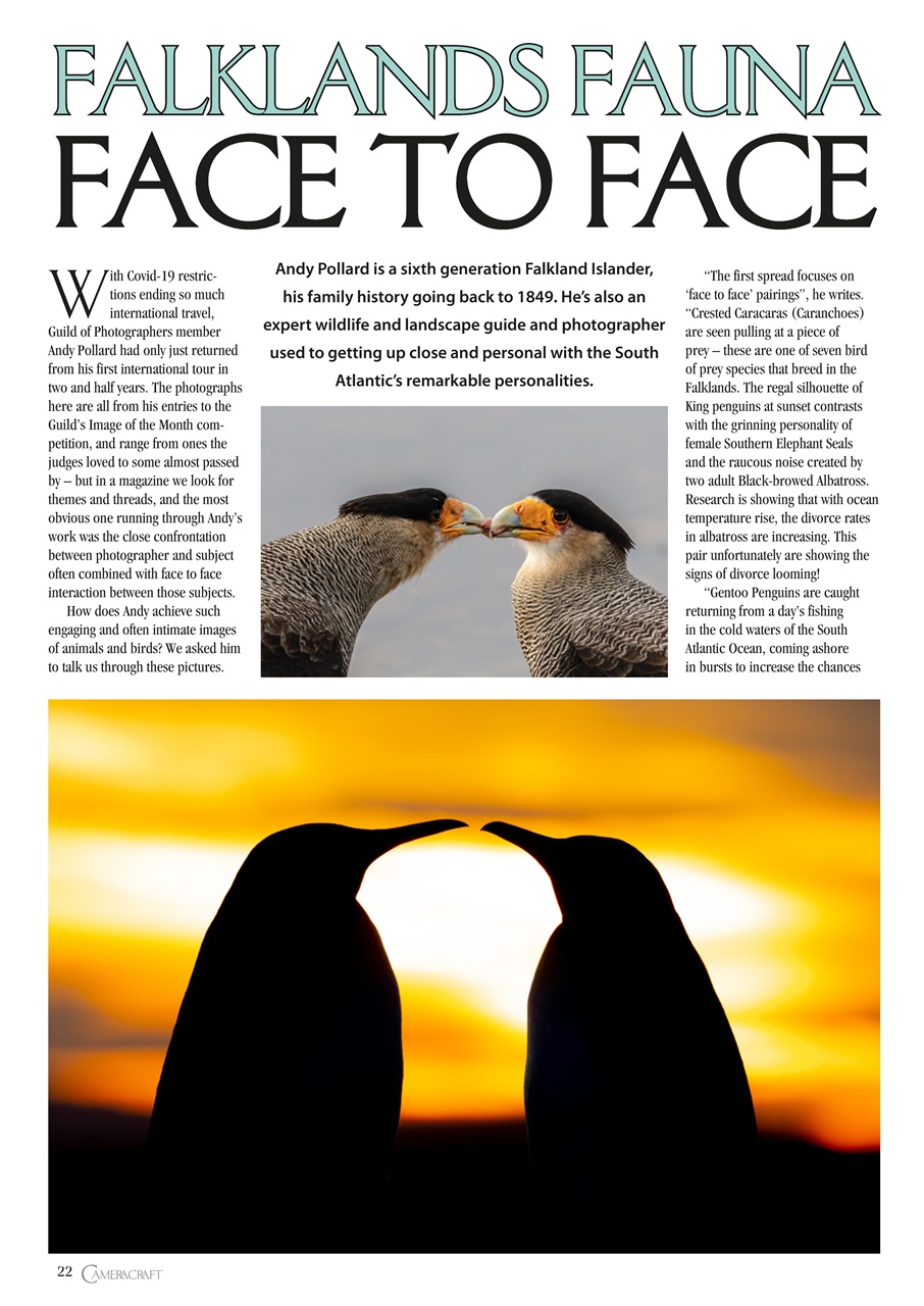 f2 Cameracraft Preview Pages