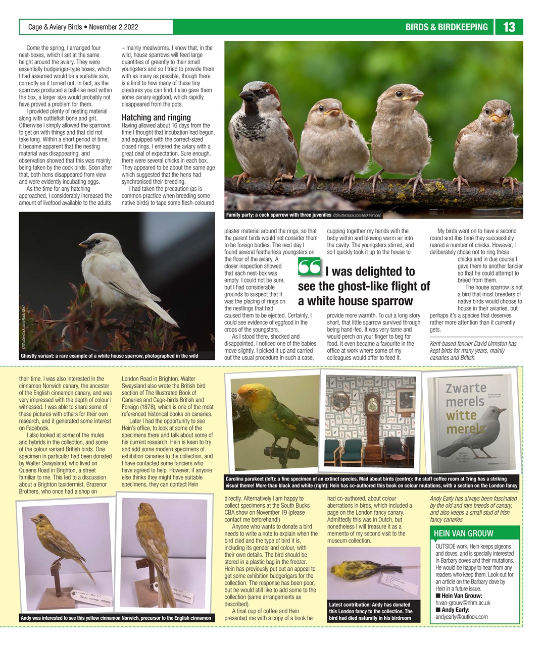 Cage & Aviary Birds Preview Pages