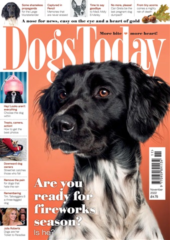 Dogs Today Magazine issue November 2022