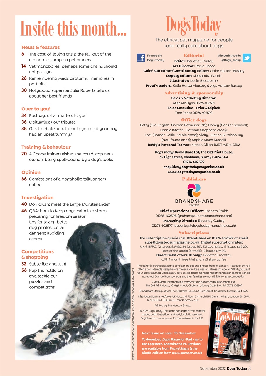 Dogs Today Magazine Preview Pages