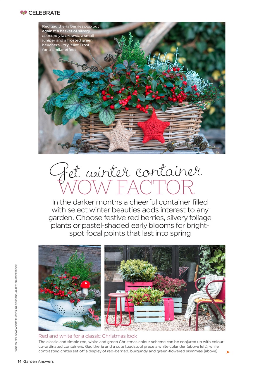 Garden Answers Preview Pages