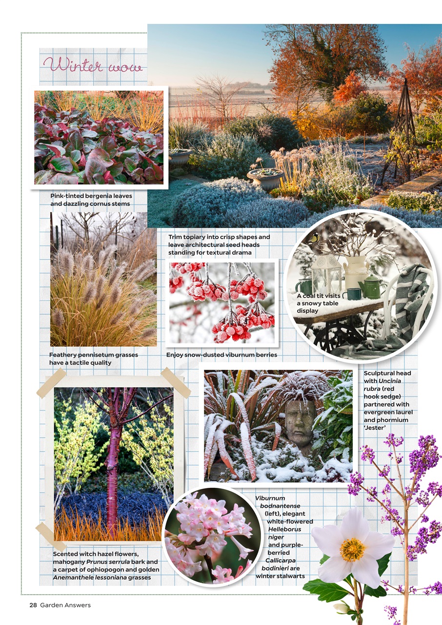 Garden Answers Preview Pages