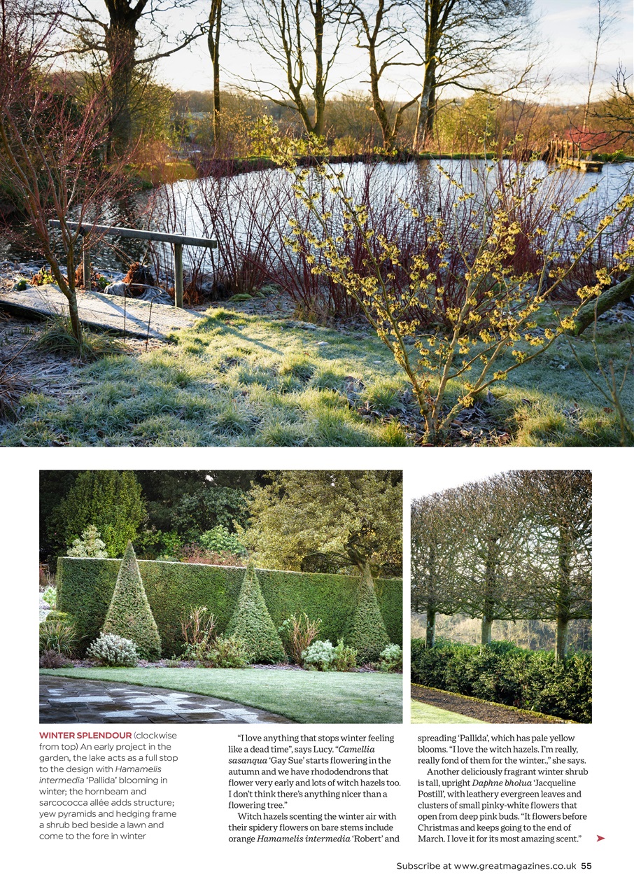 Garden Answers Preview Pages