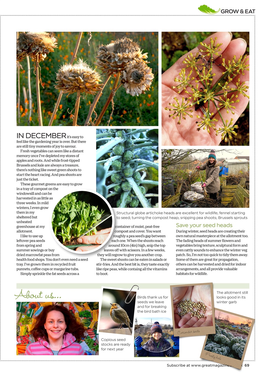 Garden Answers Preview Pages