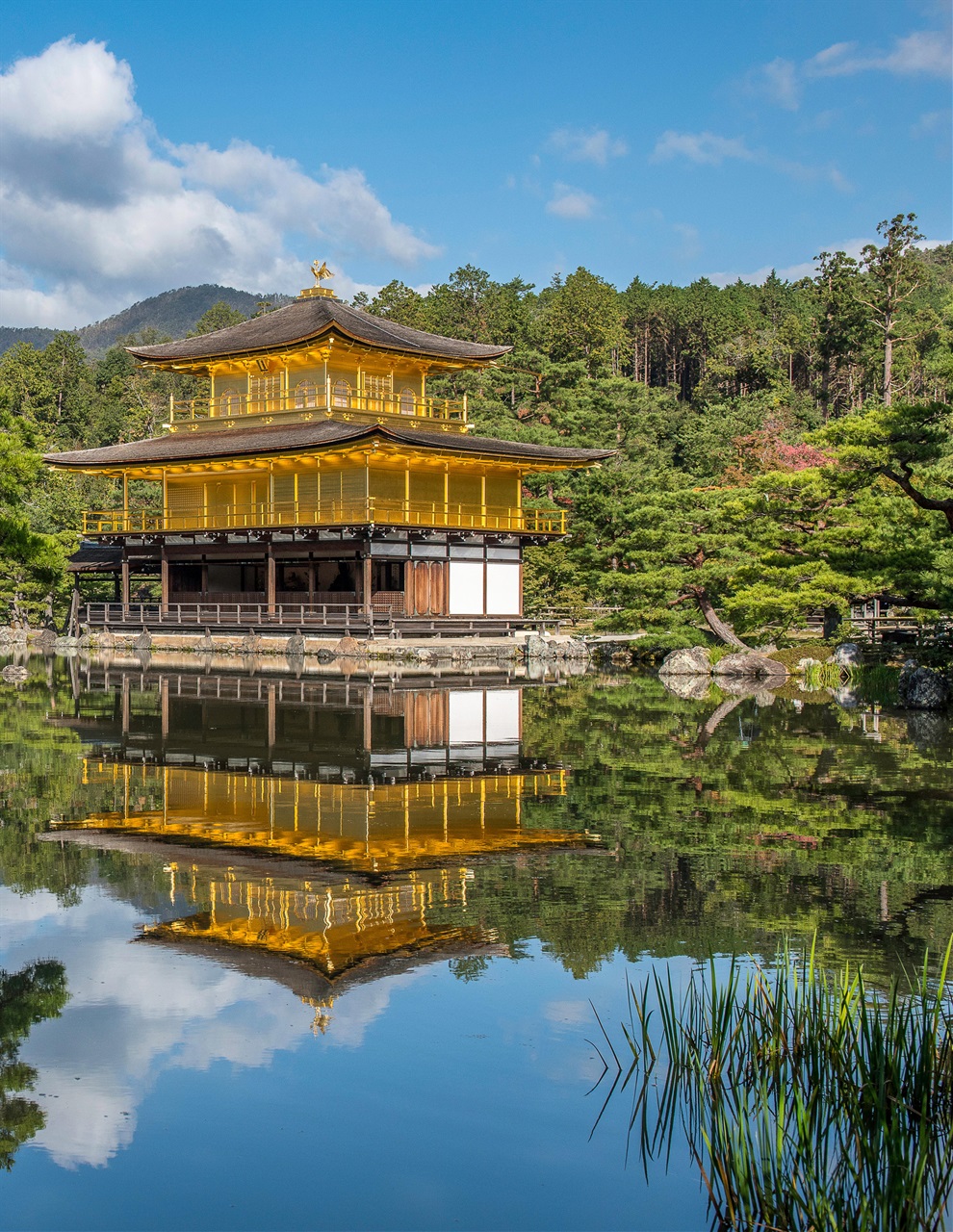 Lens Magazine Preview Pages