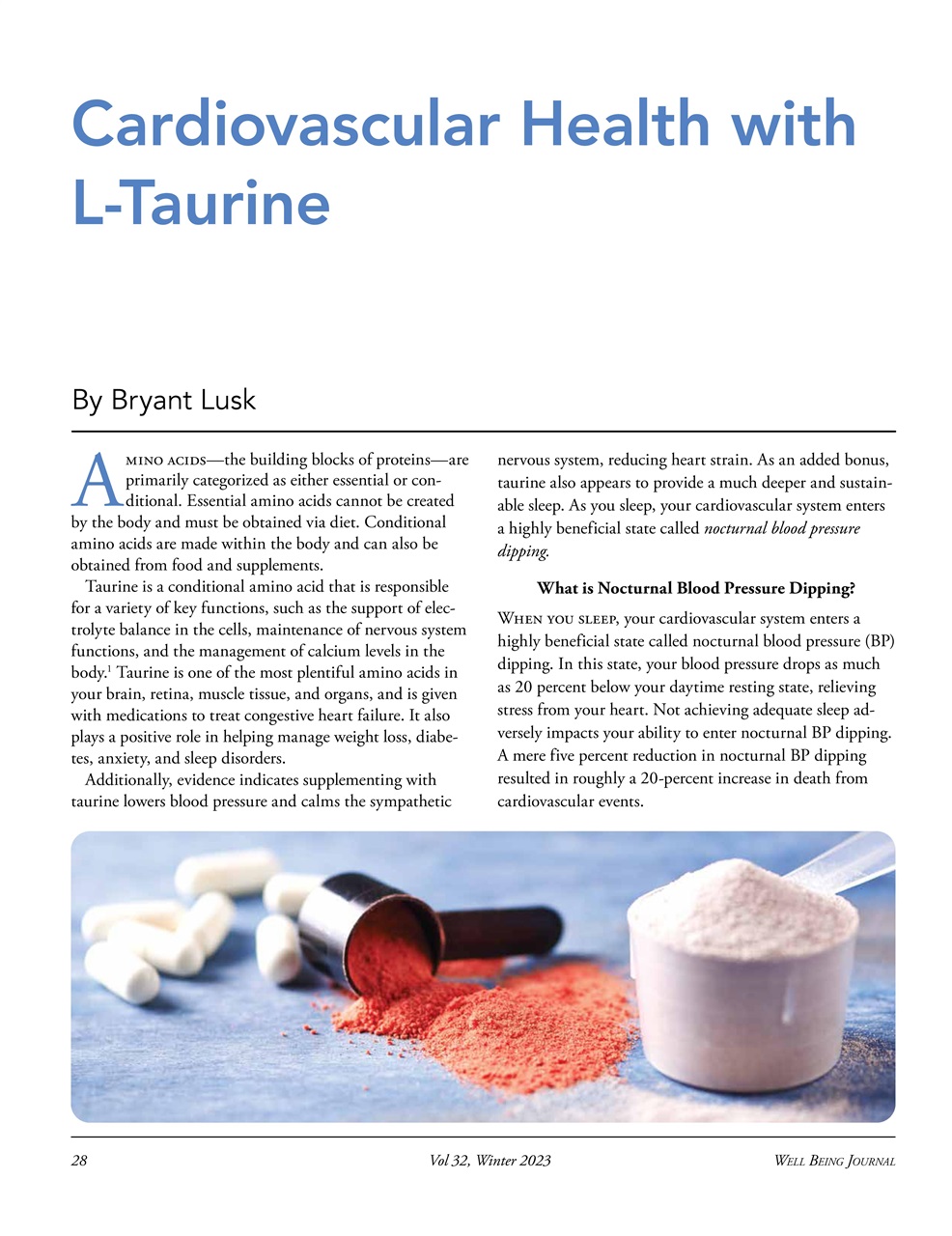 Well Being Journal Preview Pages