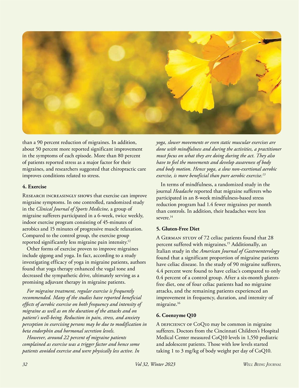 Well Being Journal Preview Pages