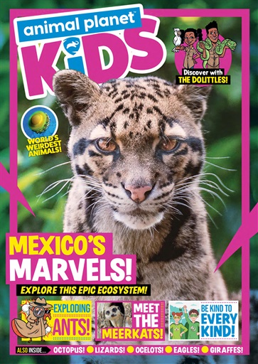 Animal Planet Kids issue 