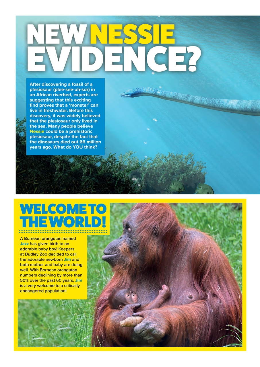 Animal Planet Kids Preview Pages