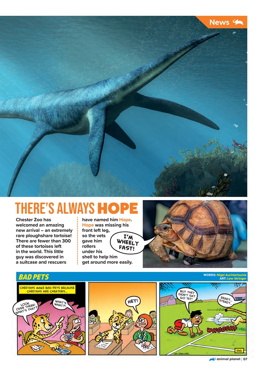 Animal Planet Kids Preview Pages