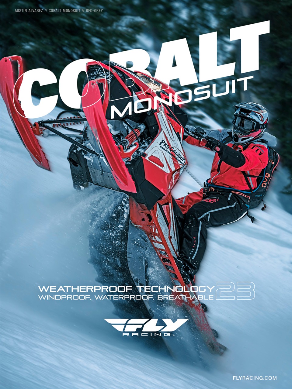 SnowGoer Preview Pages