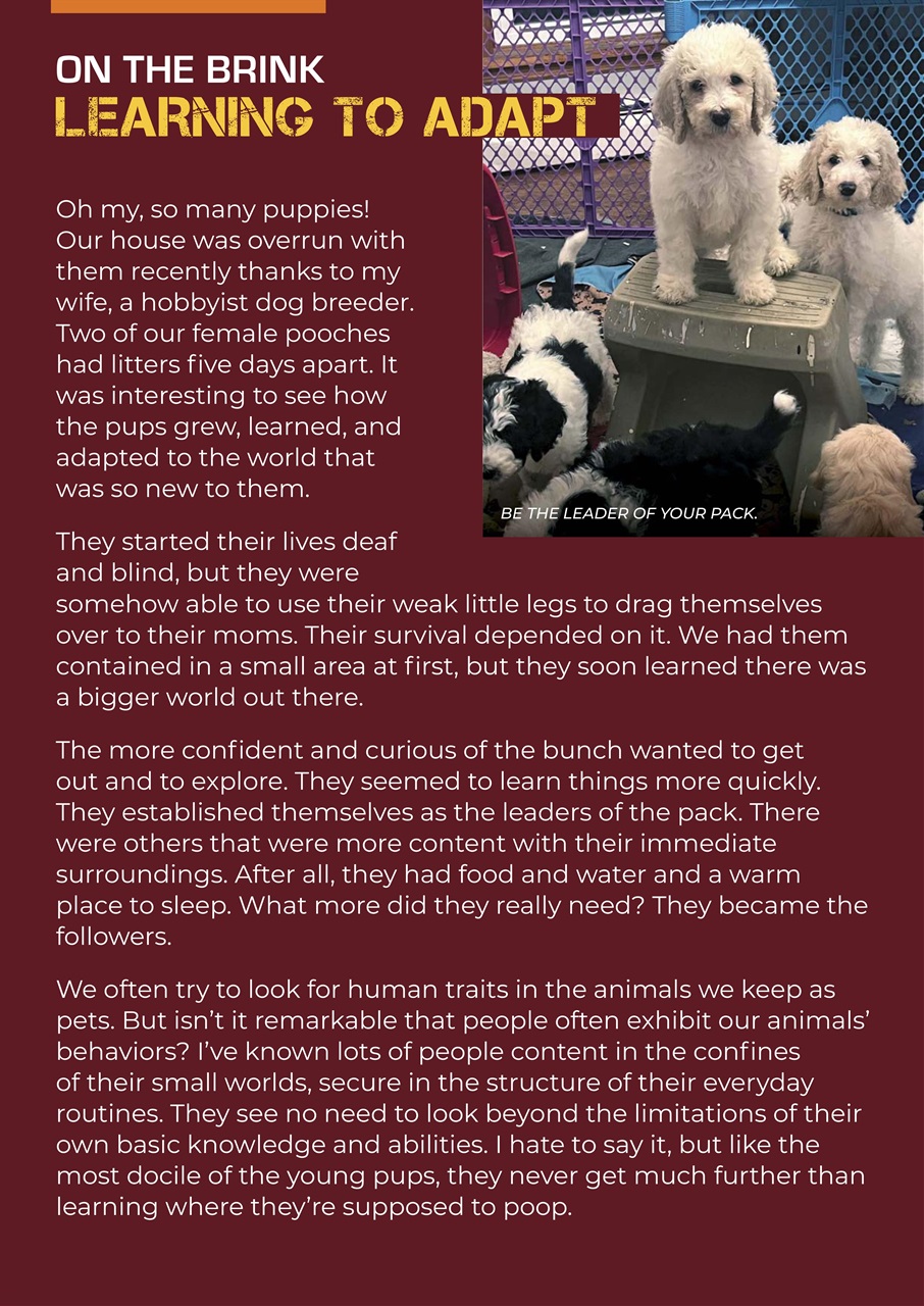 American Outdoor Guide: Boundless Preview Pages