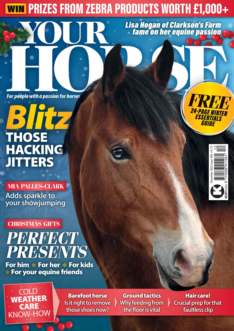 Your Horse Preview Pages