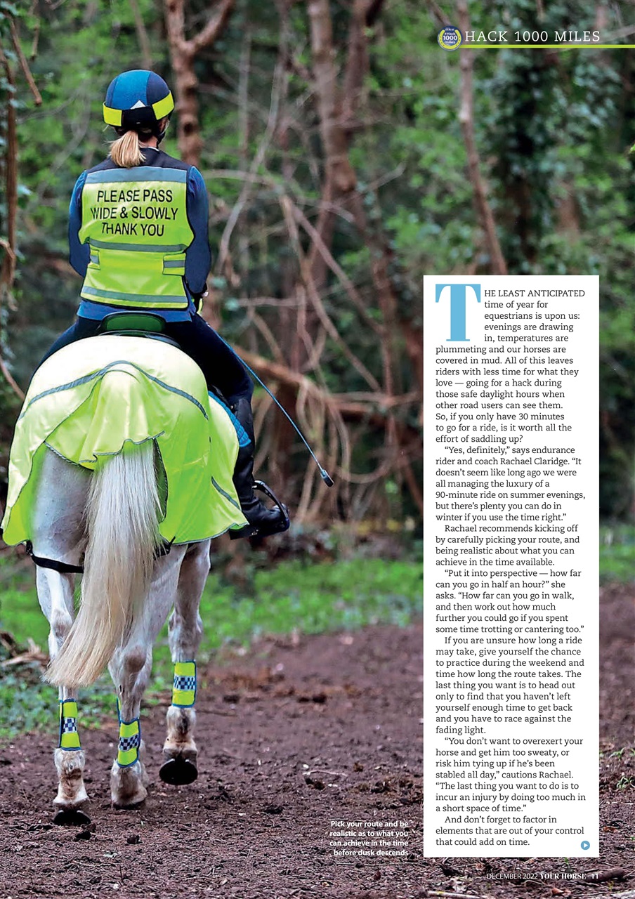 Your Horse Preview Pages
