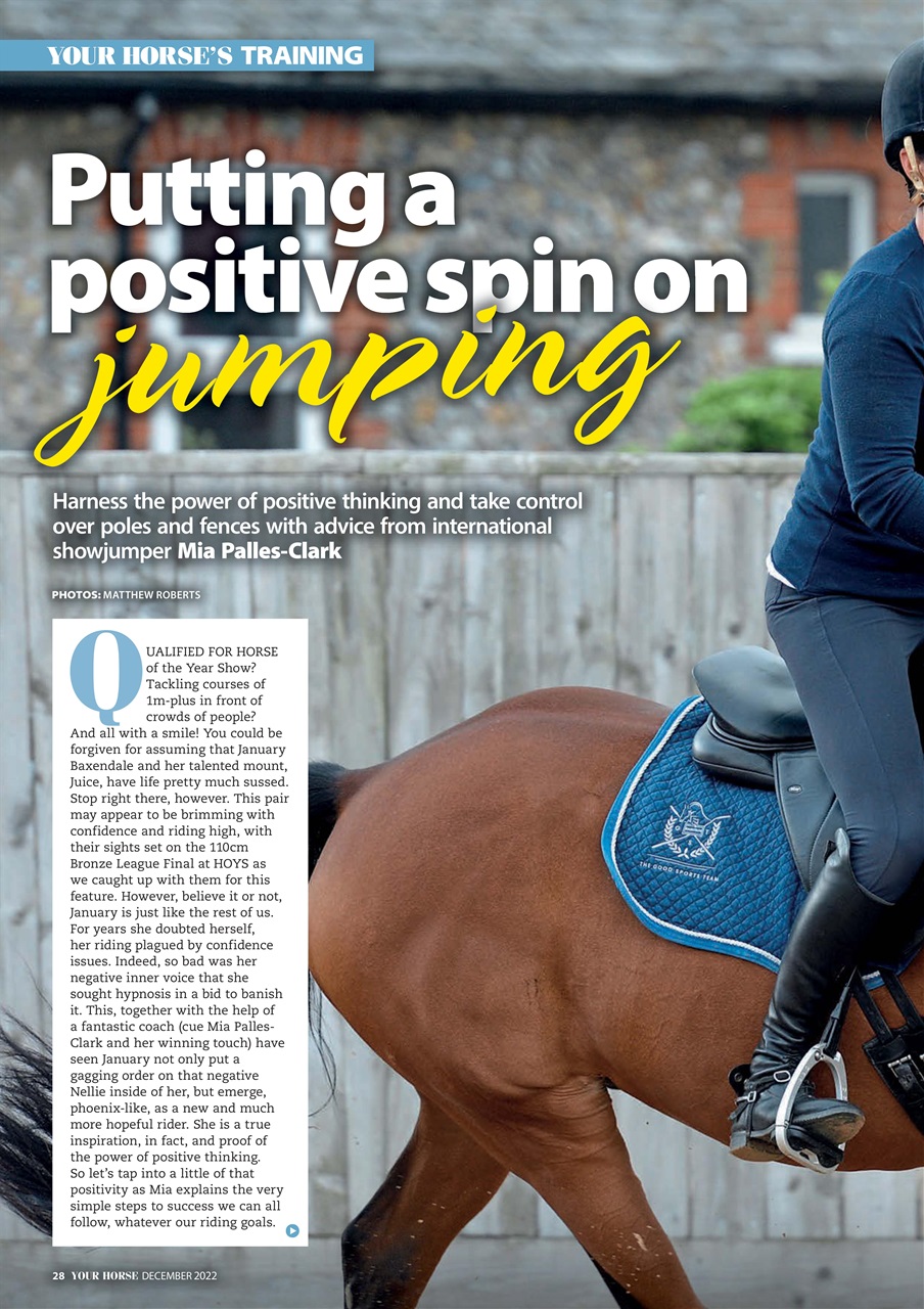 Your Horse Preview Pages