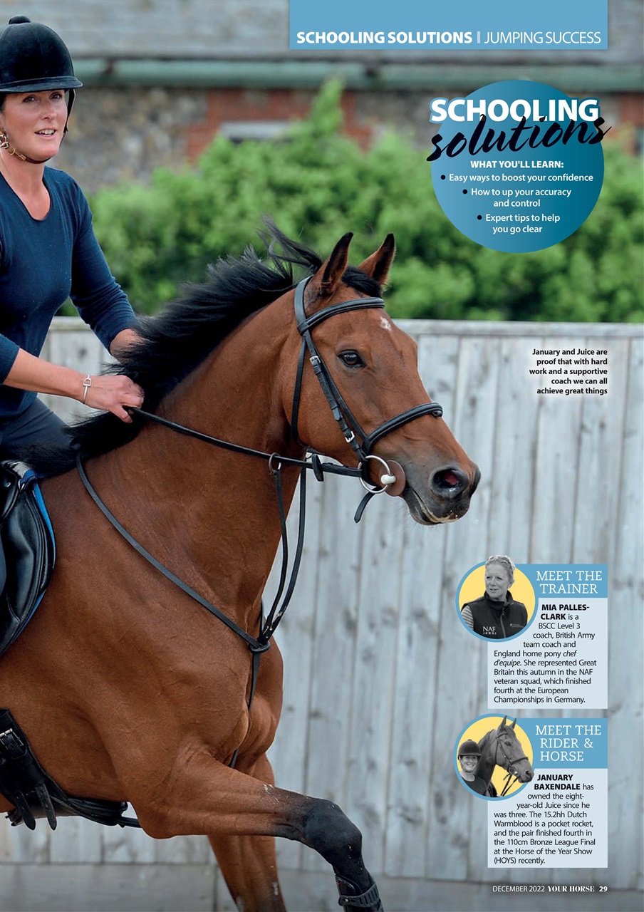 Your Horse Preview Pages