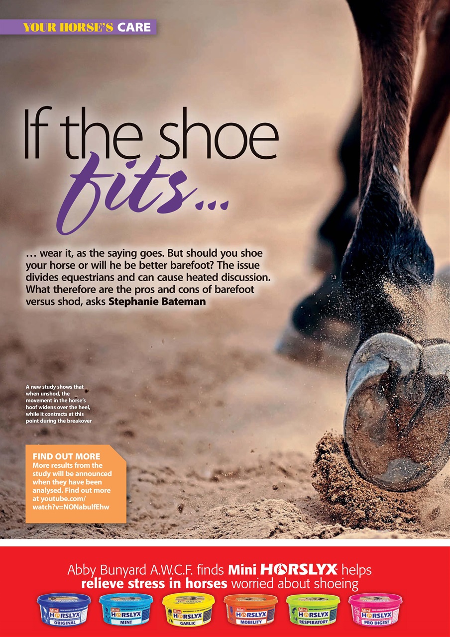 Your Horse Preview Pages