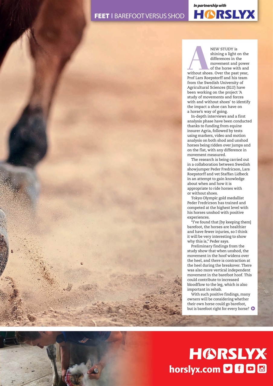 Your Horse Preview Pages