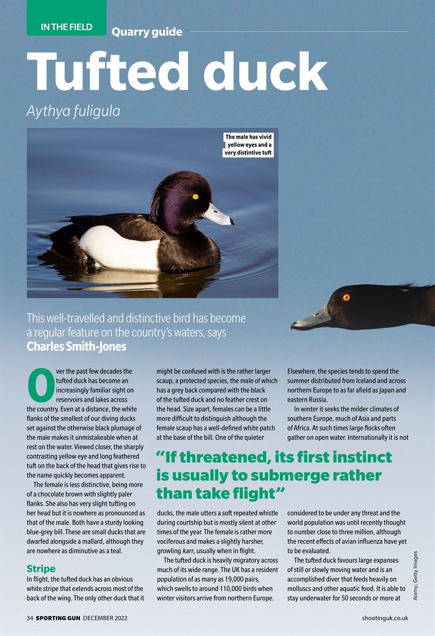 Sporting Gun Preview Pages