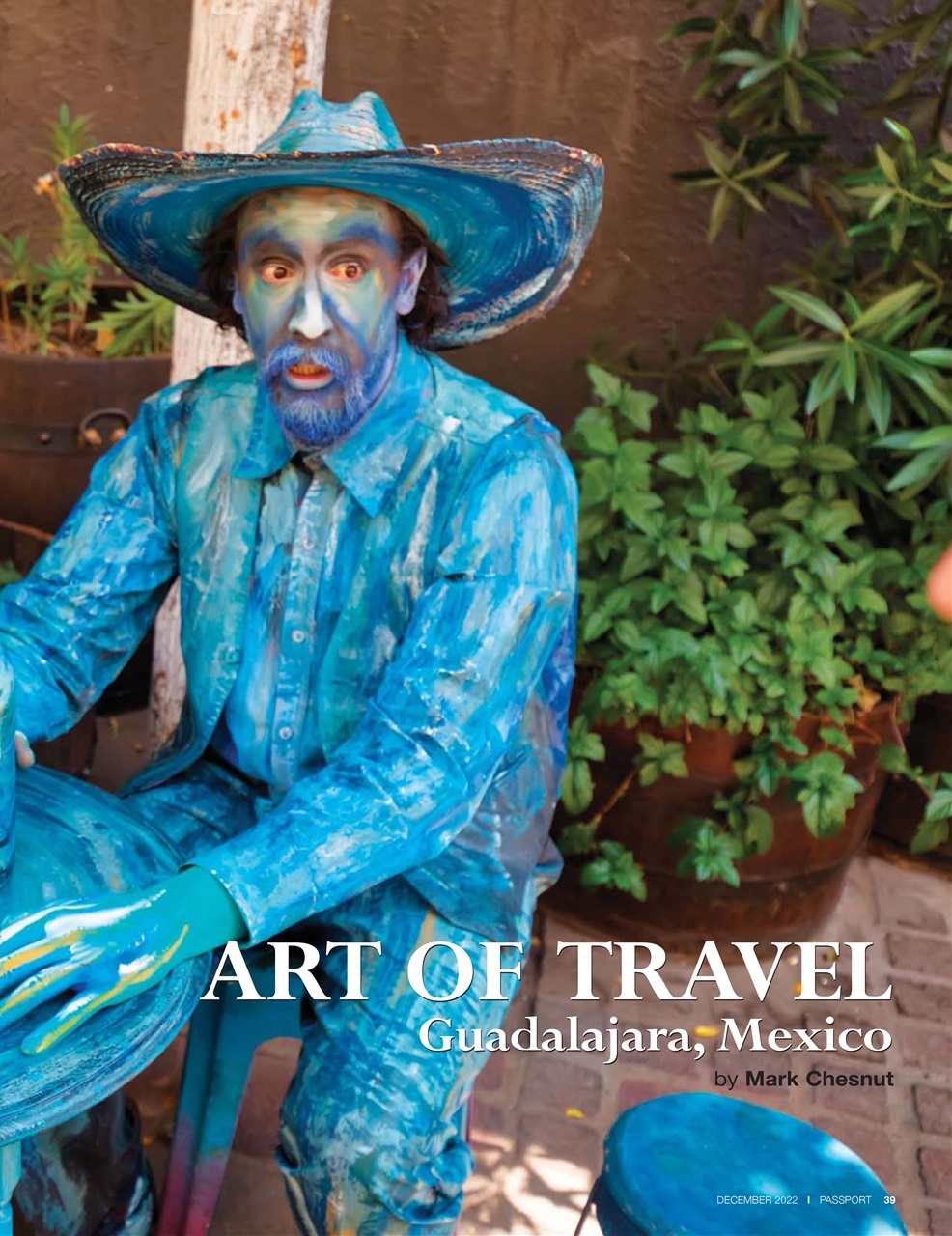 Passport Preview Pages