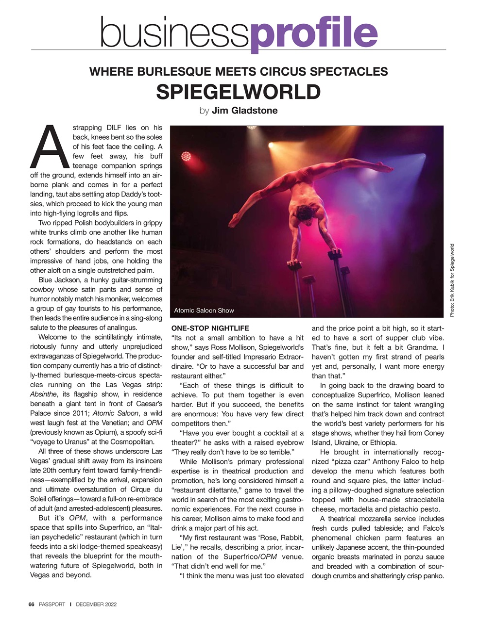 Passport Preview Pages