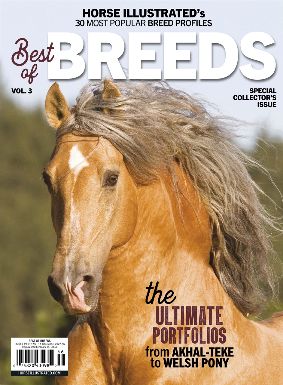Horse Illustrated Magazine Preview Pages