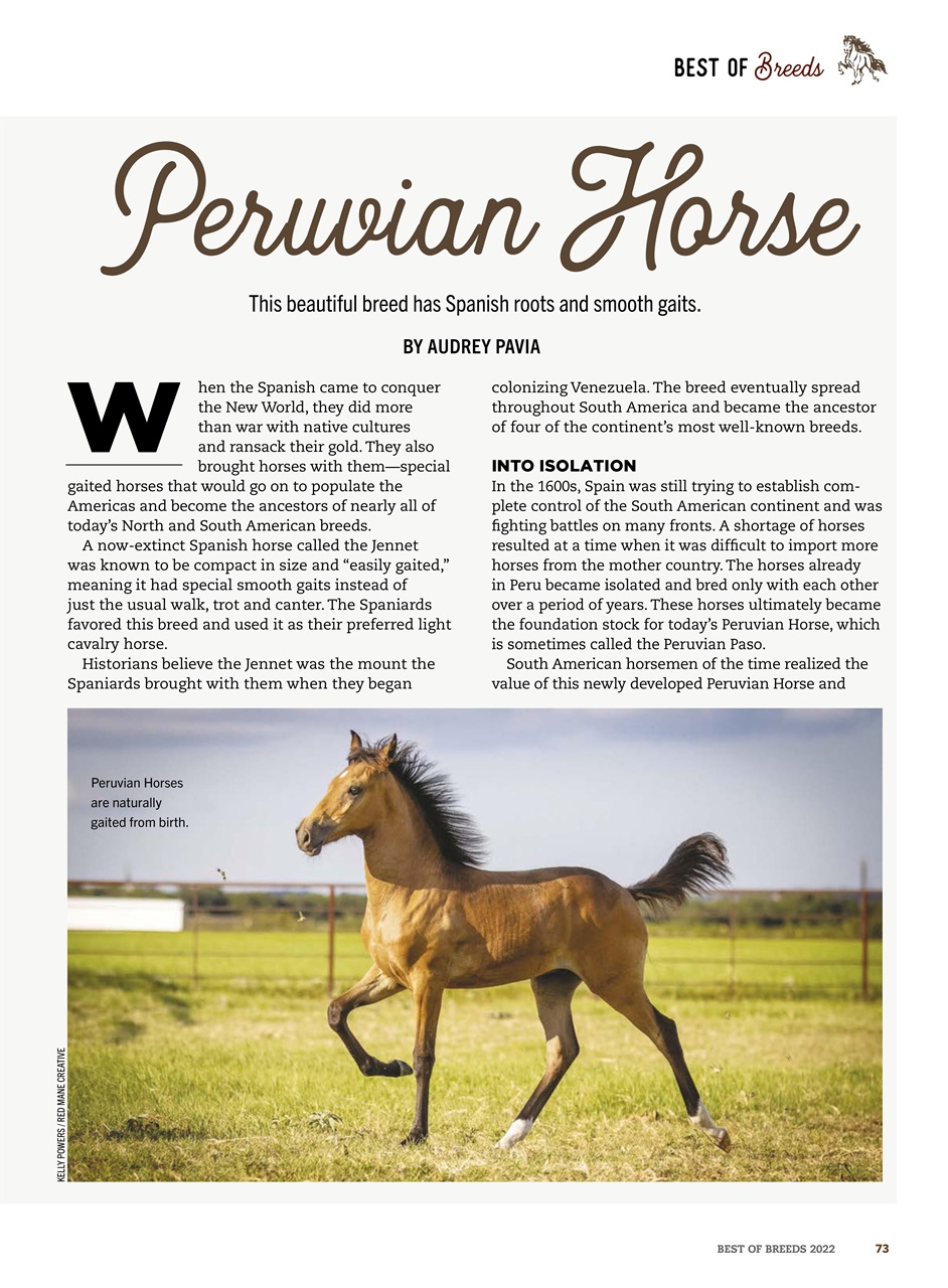 Horse Illustrated Magazine Preview Pages