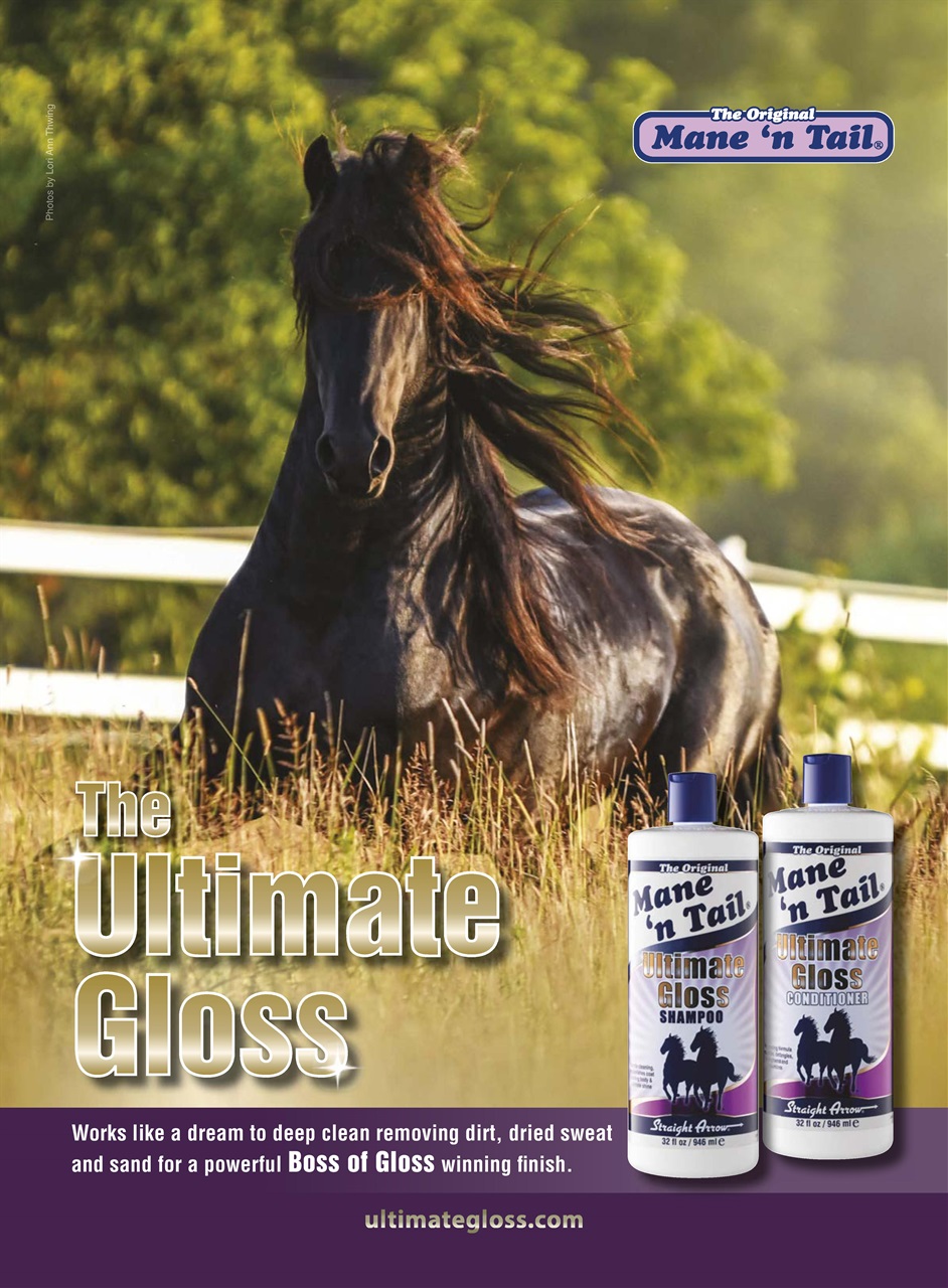 Horse Illustrated Magazine Preview Pages