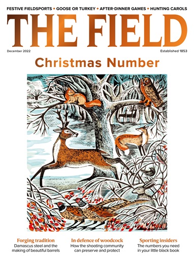 The Field issue 