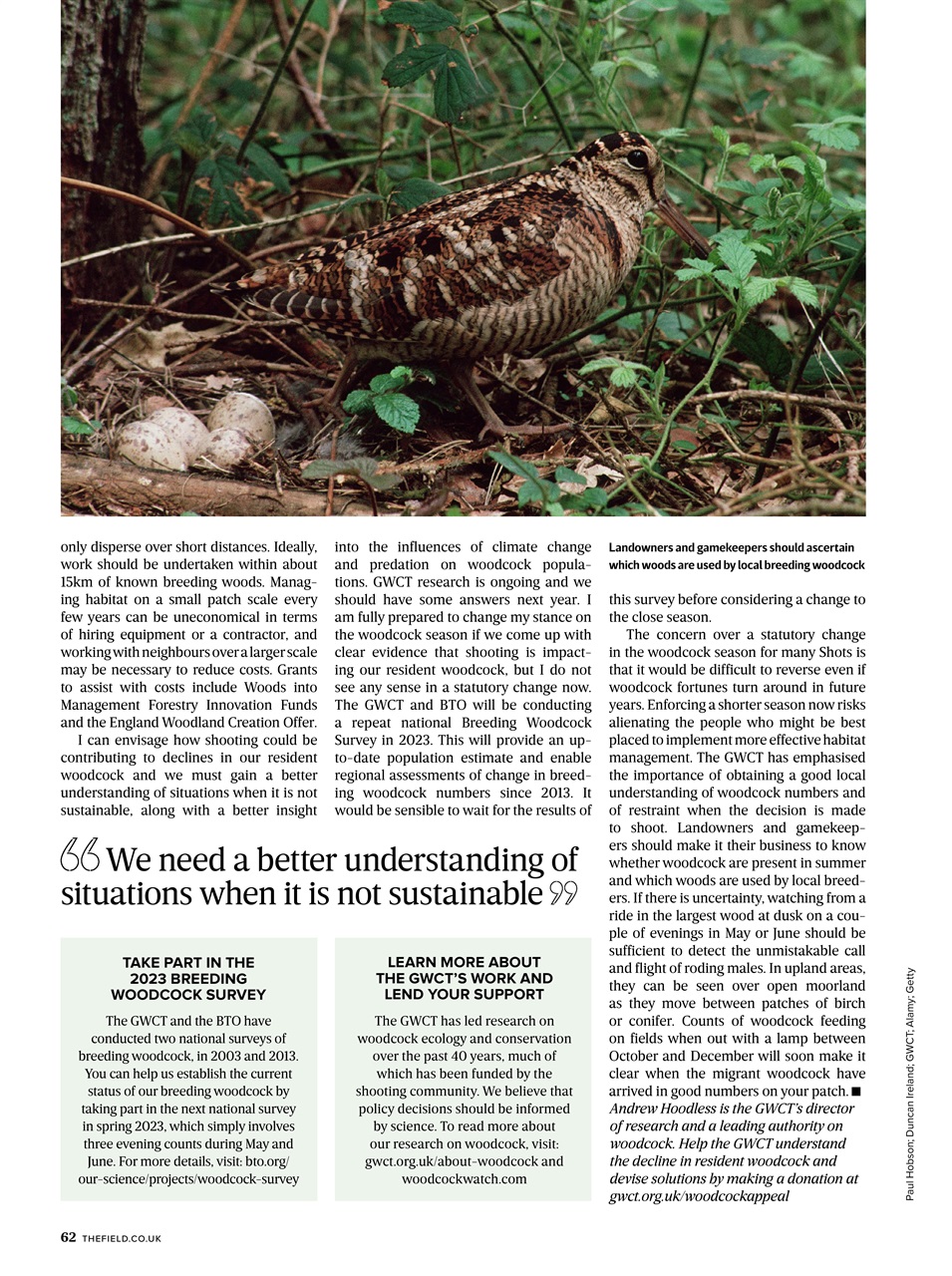 The Field Preview Pages