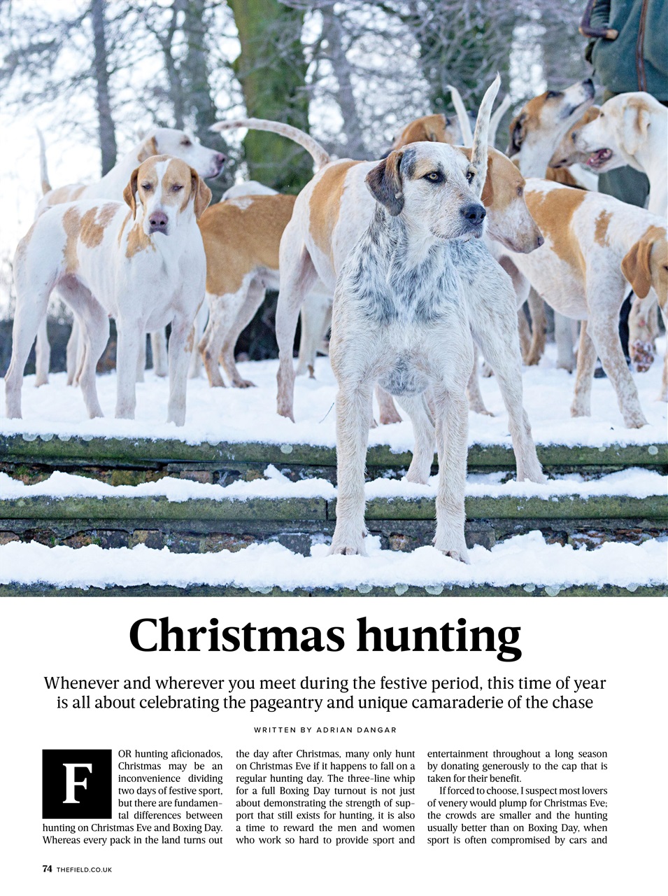 The Field Preview Pages