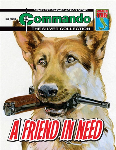 Commando issue 