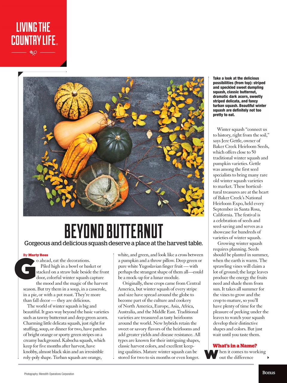 Successful Farming Preview Pages