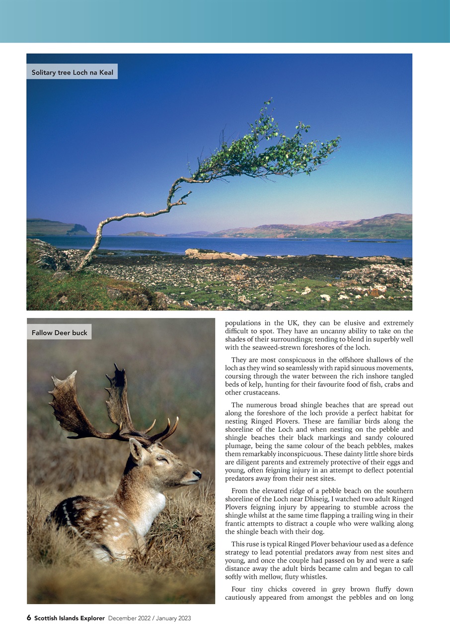 Scottish Islands Explorer Preview Pages