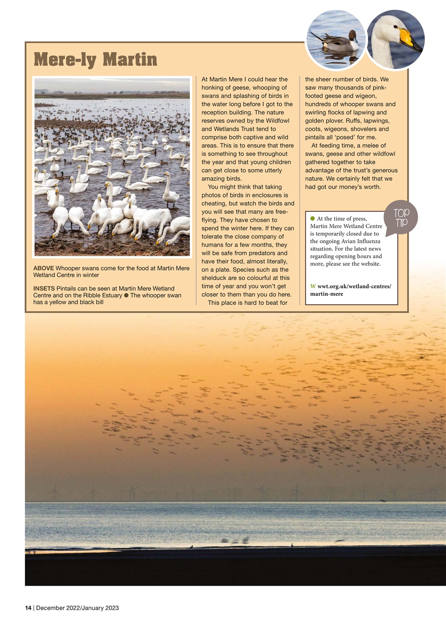 Caravan Magazine Preview Pages