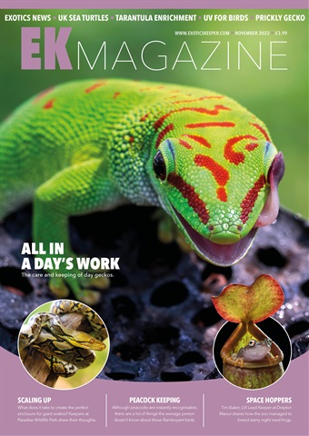 Exotics Keeper issue November 2022