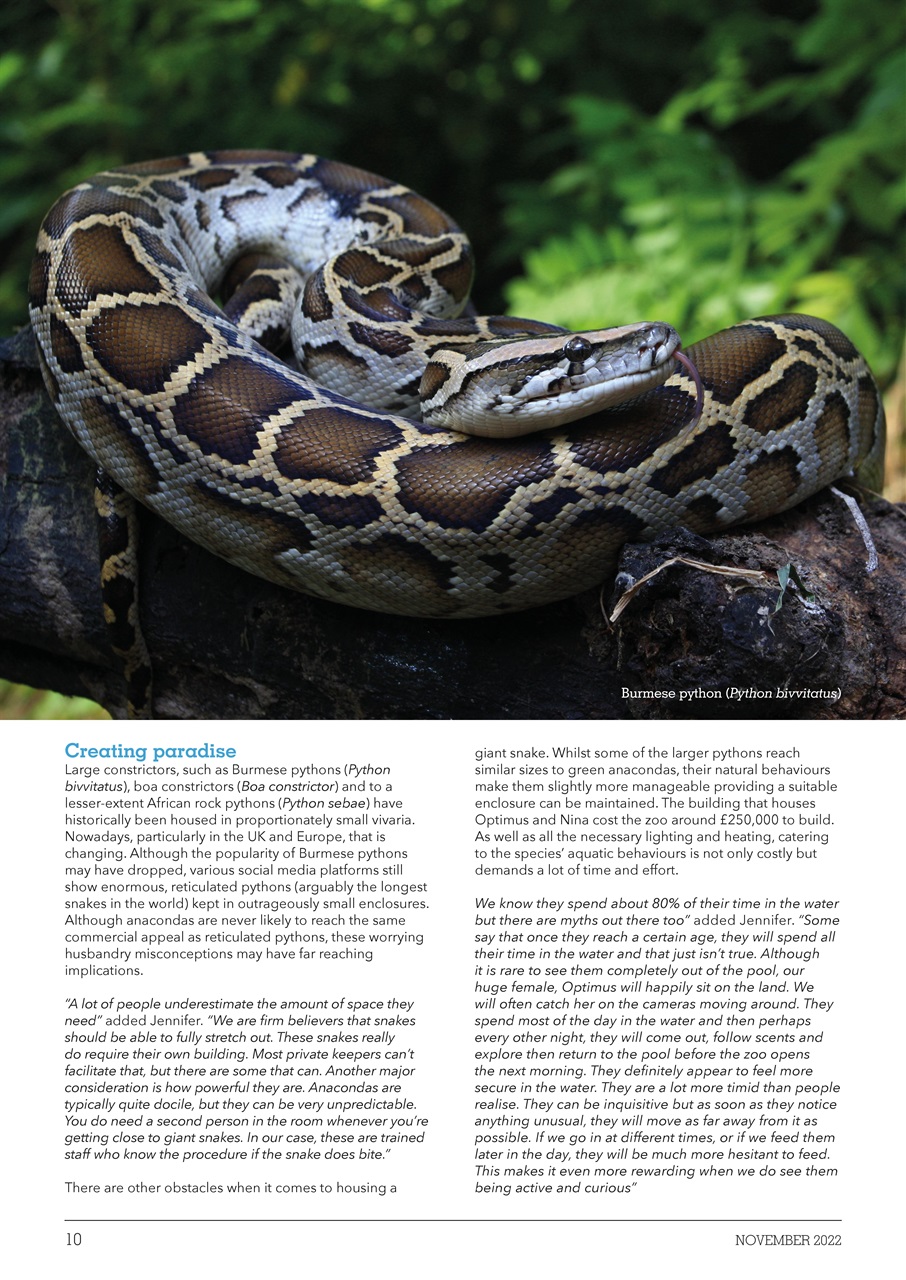 Exotics Keeper Preview Pages