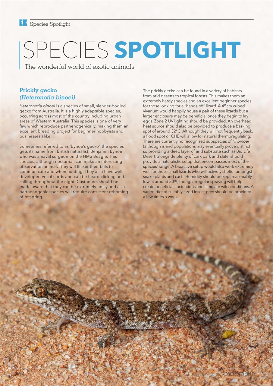 Exotics Keeper Preview Pages