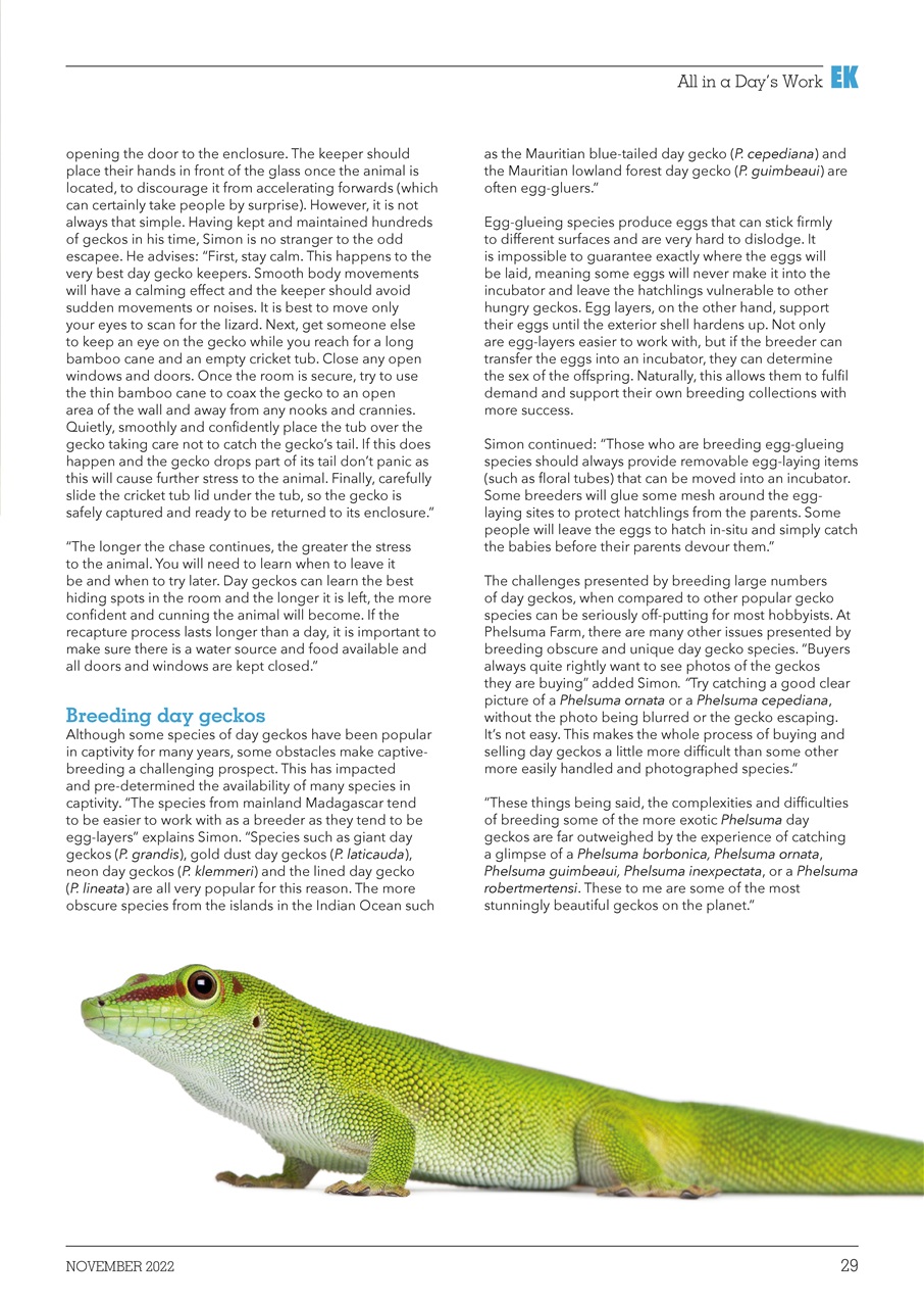 Exotics Keeper Preview Pages