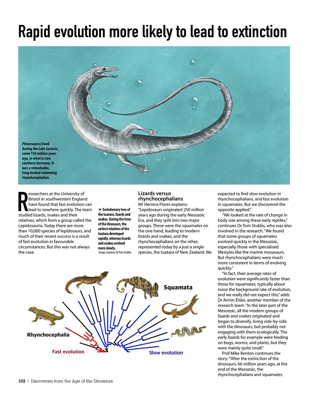 Practical Reptile Keeping Preview Pages
